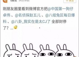 娱乐吃瓜酱取名大全图片,揭秘取名大全背后的趣味与智慧