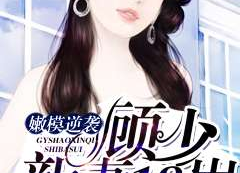 娱乐吃瓜酱妻子小说,妻子背后的秘密风云